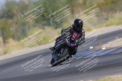 media/Nov-11-2023-SoCal Trackdays (Sat) [[efd63766ff]]/Turn 2 Set 2 (1145am)/